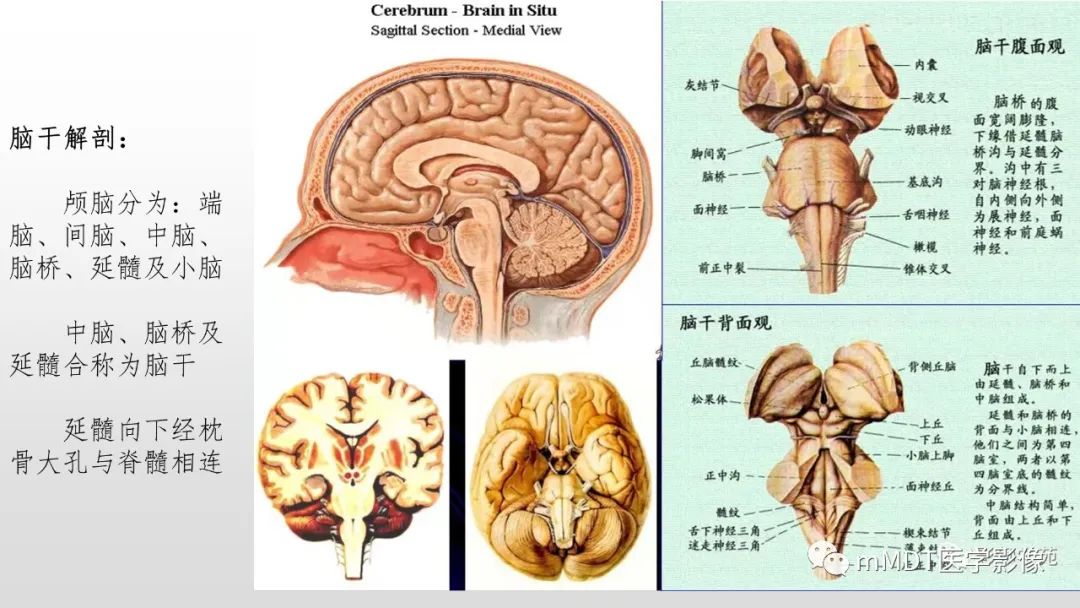 【PPT】神经白塞病NBD-17