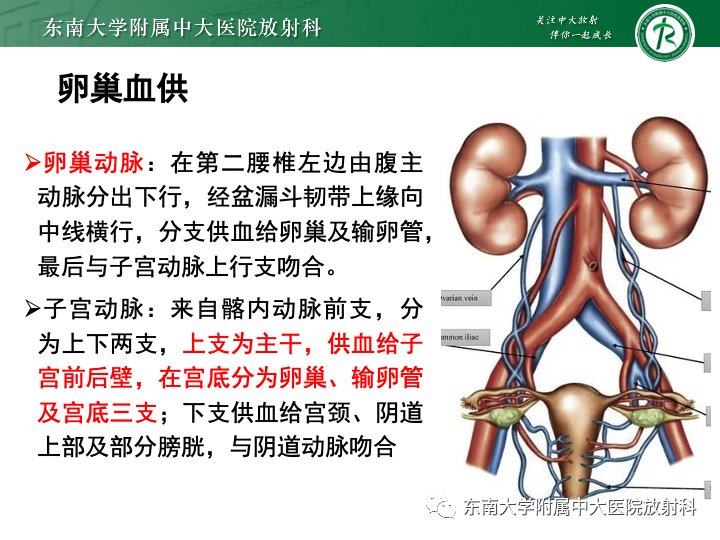 【病例】附件扭转4例病例随访-20
