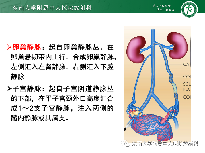 【病例】附件扭转4例病例随访-21