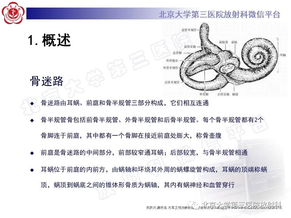 【PPT】内耳发育畸形-12