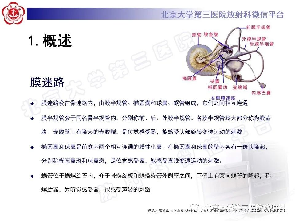 【PPT】内耳发育畸形-13