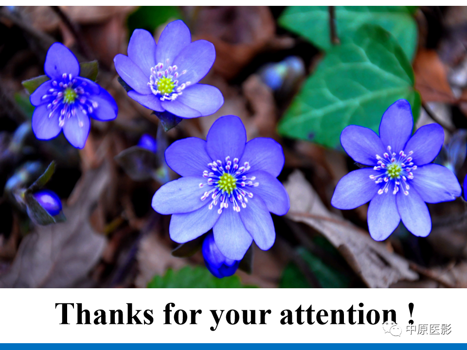 【病例】心尖肥厚型心肌病1例MR影像-17