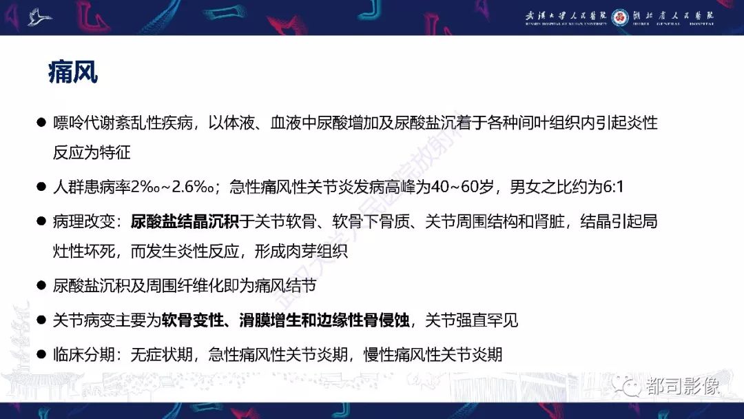 【PPT】关节滑膜弥漫性增厚病变影像诊断-15