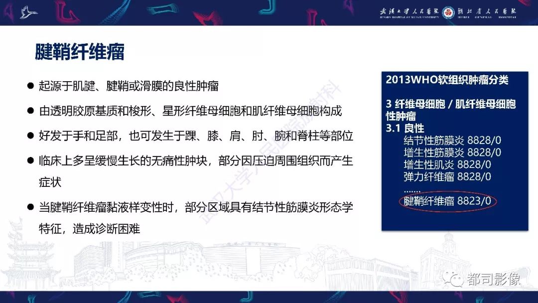 【PPT】关节滑膜弥漫性增厚病变影像诊断-35