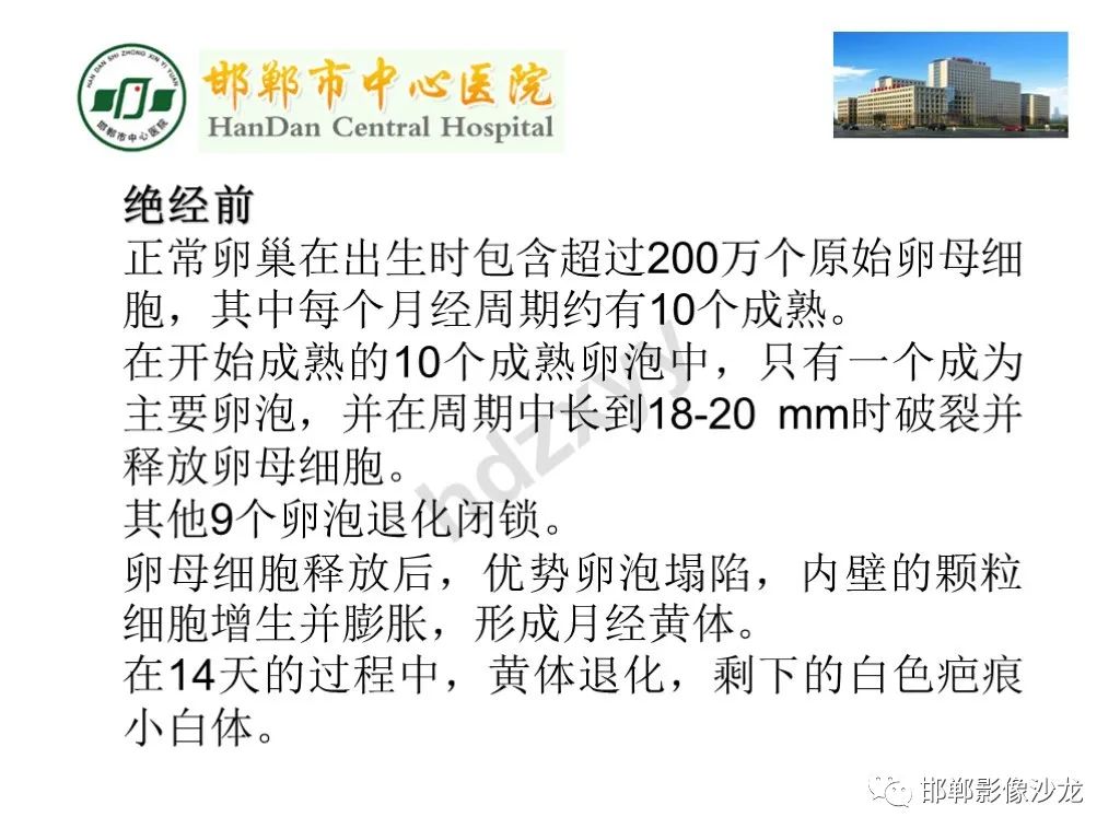 【PPT】卵巢非肿瘤性病变的影像诊断-6