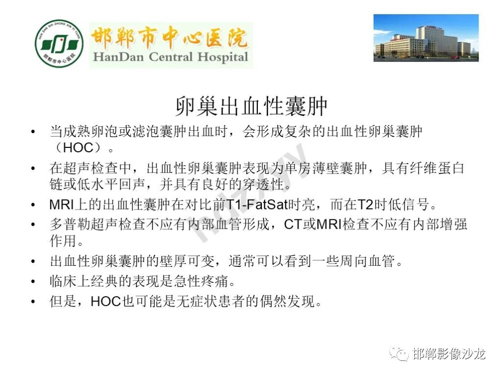 【PPT】卵巢非肿瘤性病变的影像诊断-19