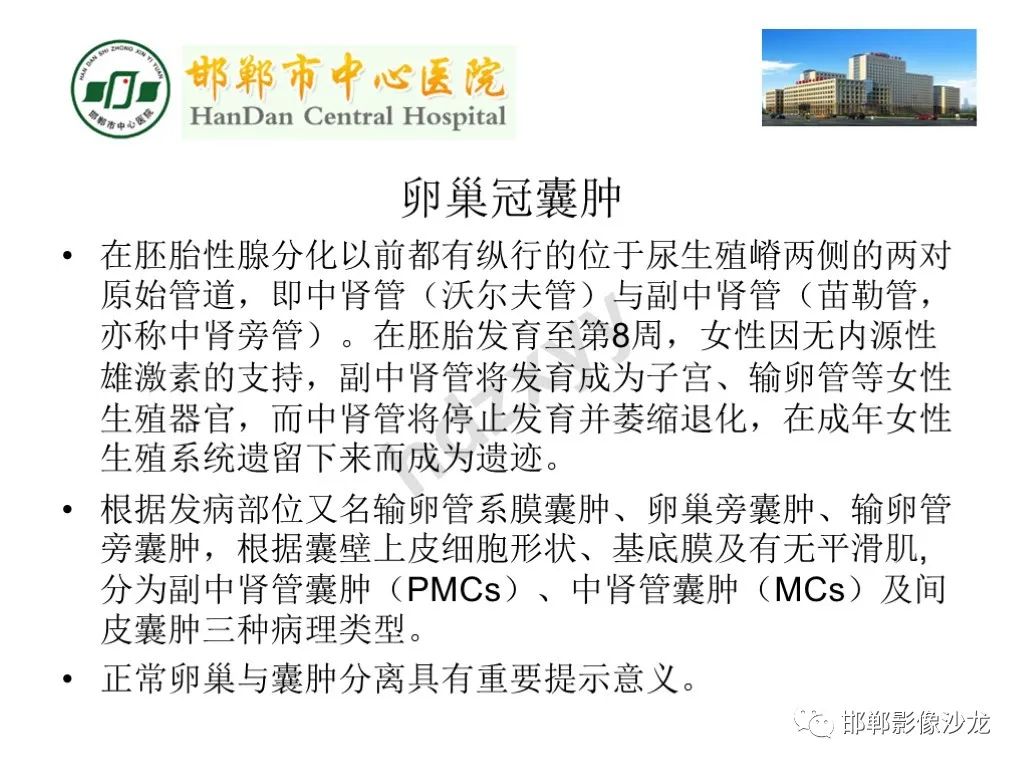 【PPT】卵巢非肿瘤性病变的影像诊断-24
