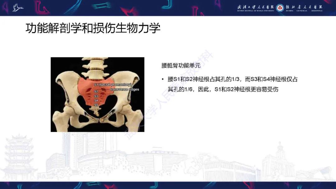 【PPT】骶骨骨折CT评估-4