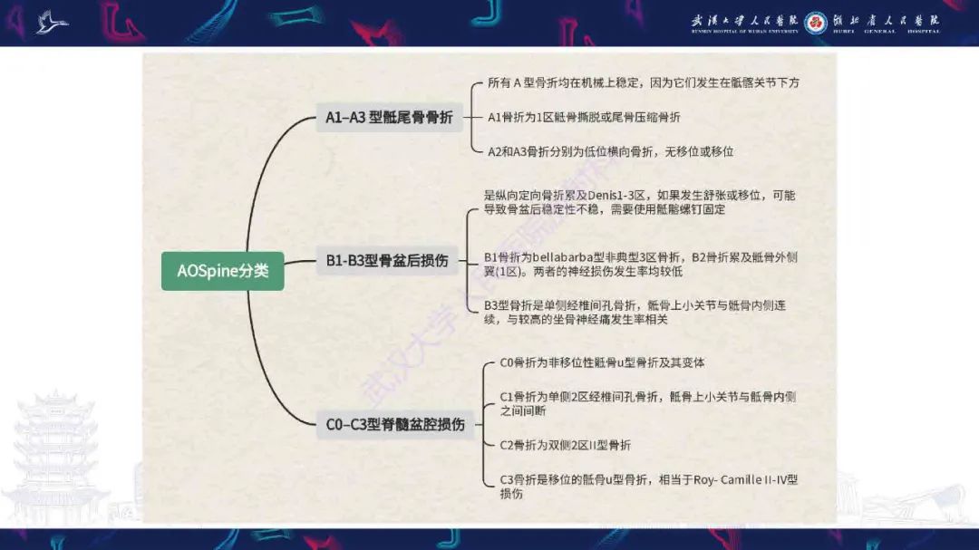 【PPT】骶骨骨折CT评估-18