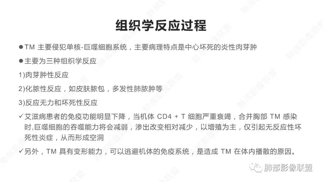 【PPT】马尔尼菲篮状菌的CT表现-6 【PPT】马尔尼菲篮状菌的CT表现-6