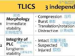脊柱损伤(TLICS)