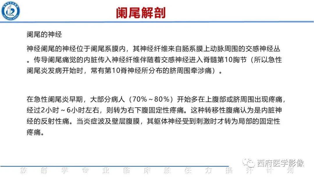 【PPT】阑尾解剖及阑尾炎影像诊断-5