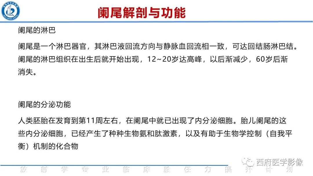 【PPT】阑尾解剖及阑尾炎影像诊断-6