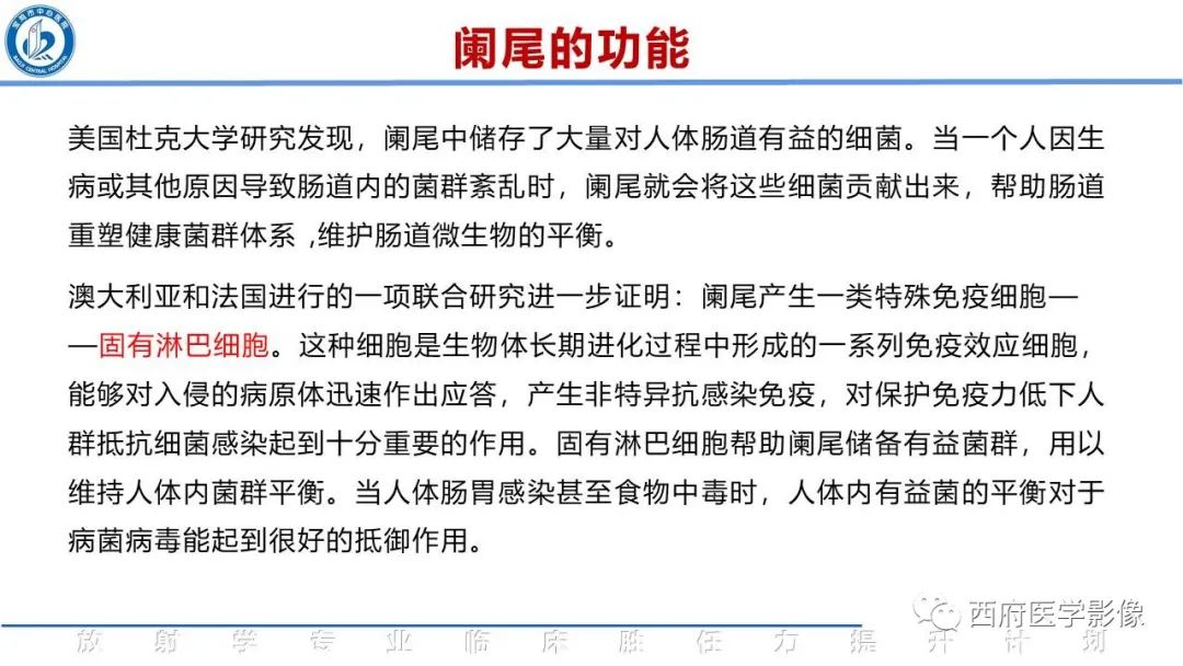 【PPT】阑尾解剖及阑尾炎影像诊断-7