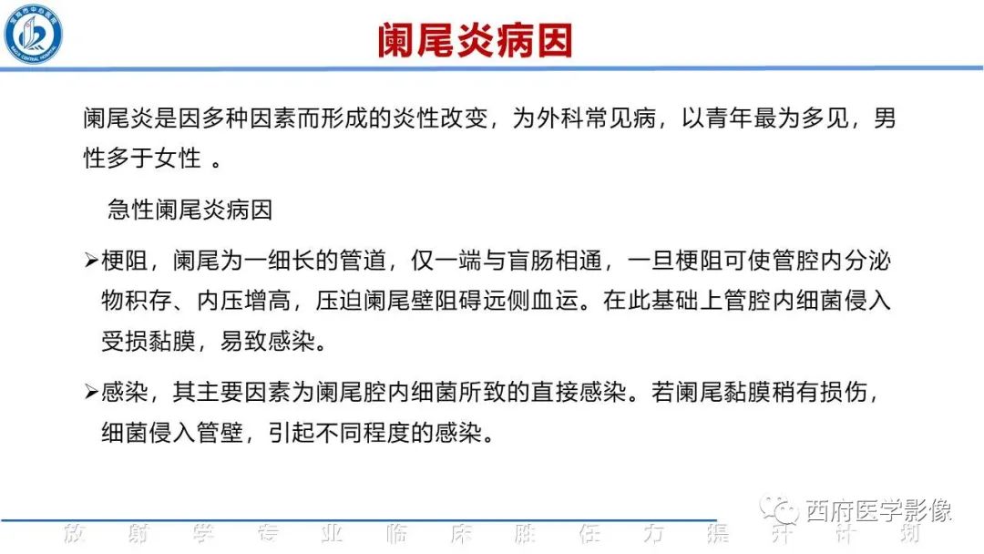 【PPT】阑尾解剖及阑尾炎影像诊断-8