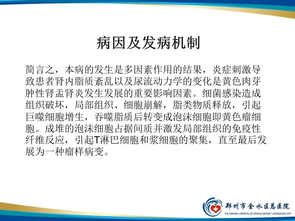 【PPT】黄色肉芽肿性肾盂肾炎影像表现-5