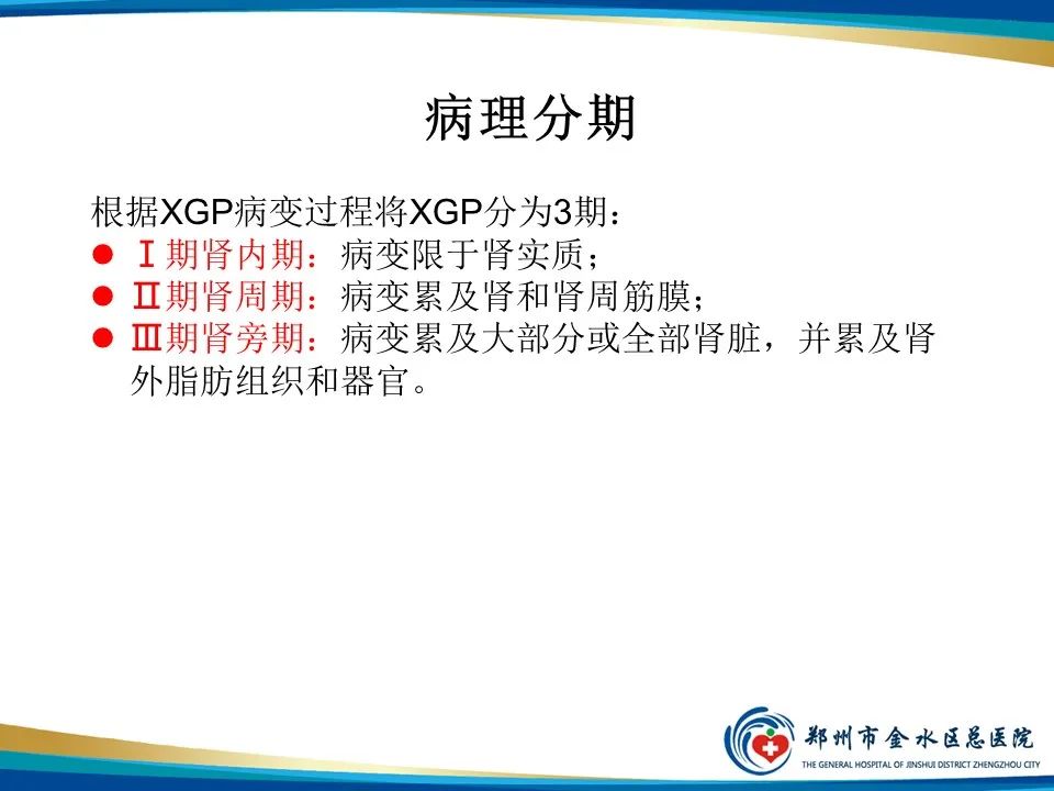 【PPT】黄色肉芽肿性肾盂肾炎影像表现-8