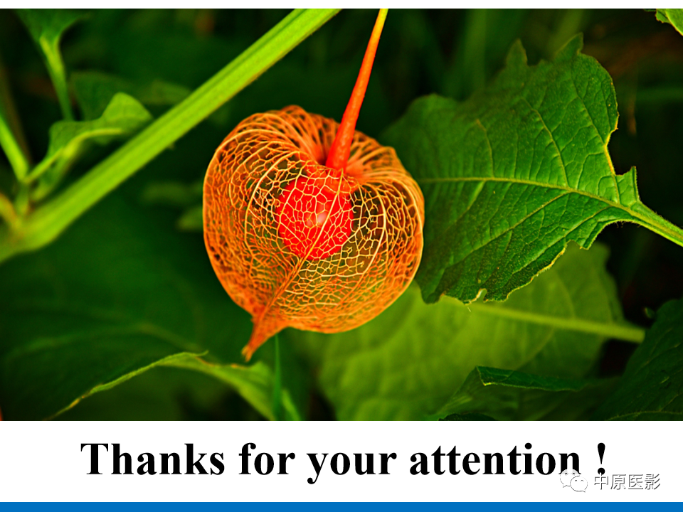 【病例】心脏血管瘤1例MR影像-15