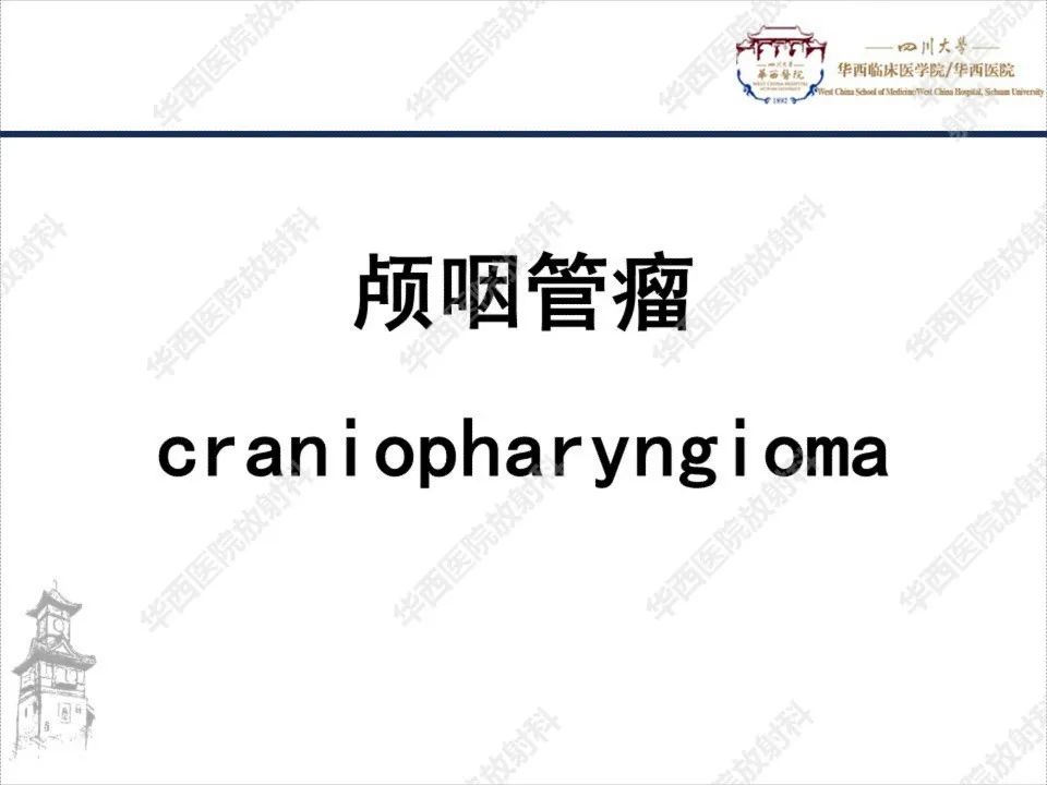 【PPT】颅咽管瘤1例MR影像鉴别诊断-8