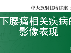 下腰痛相关疾病的影像表现