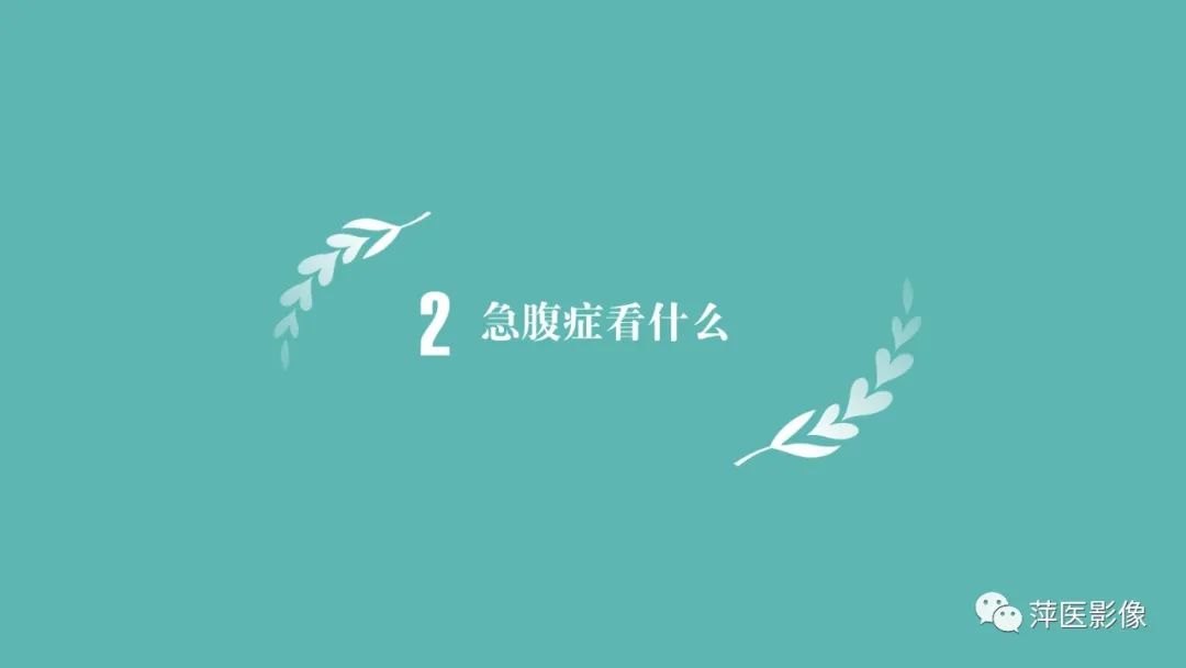 【PPT】腹部X线基础影像-12