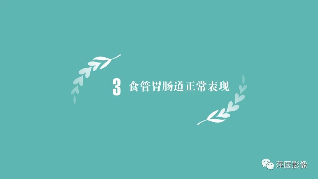 【PPT】腹部X线基础影像-24