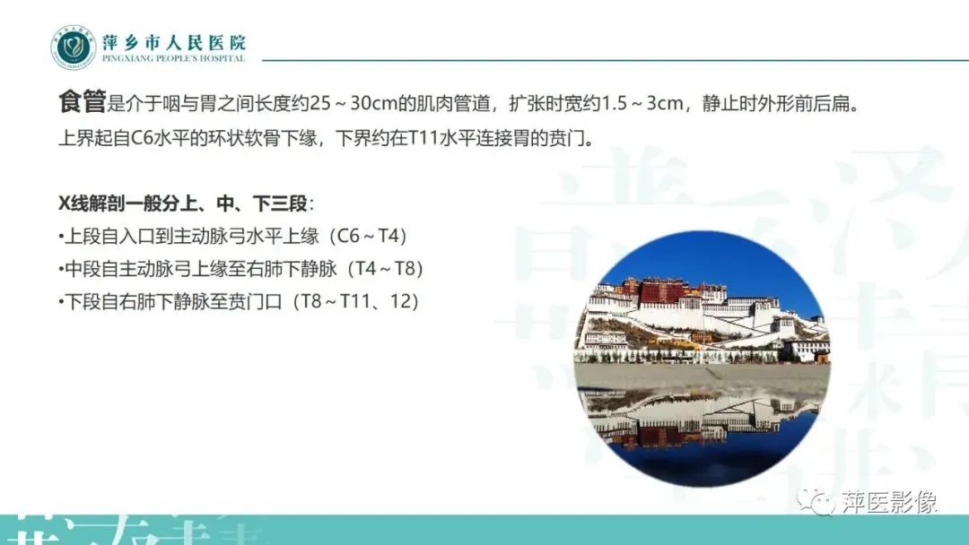 【PPT】腹部X线基础影像-25