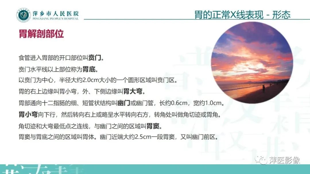 【PPT】腹部X线基础影像-28