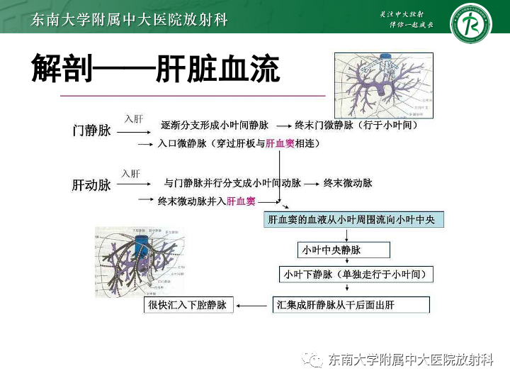 【PPT】肝窦阻塞综合征-10