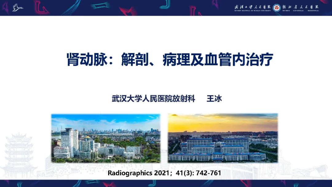 【PPT】肾动脉：解剖、病理及血管内治疗-1