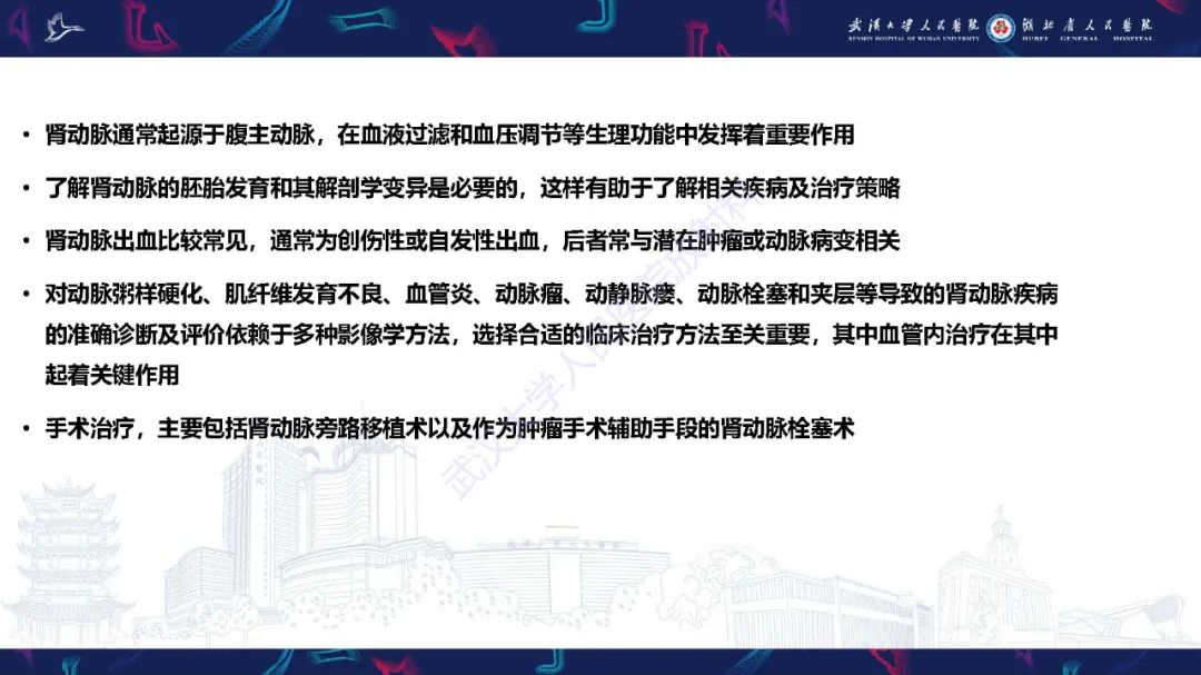 【PPT】肾动脉：解剖、病理及血管内治疗-2