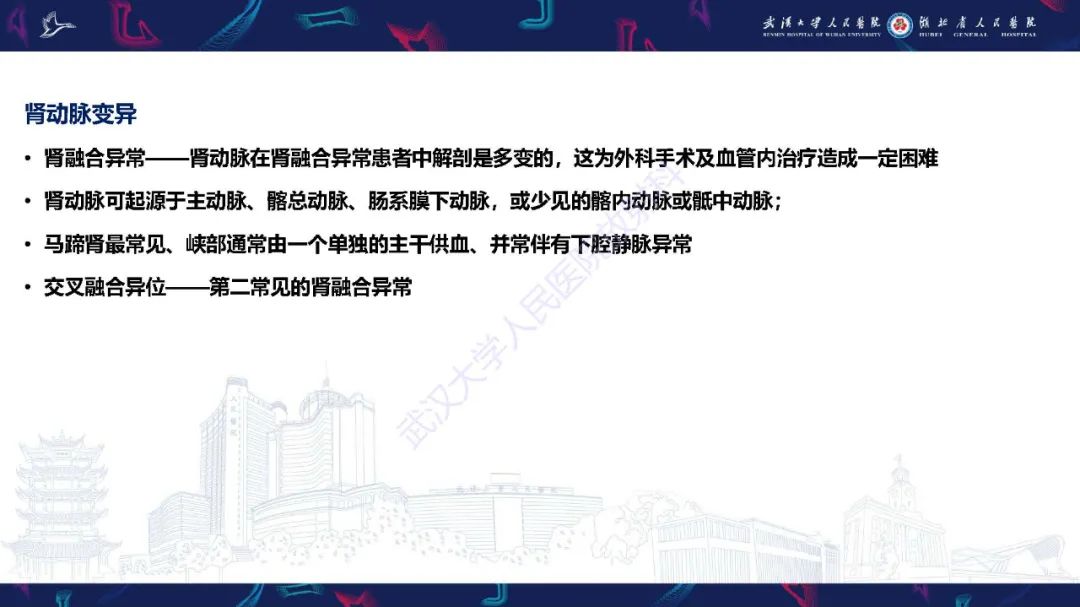 【PPT】肾动脉：解剖、病理及血管内治疗-7