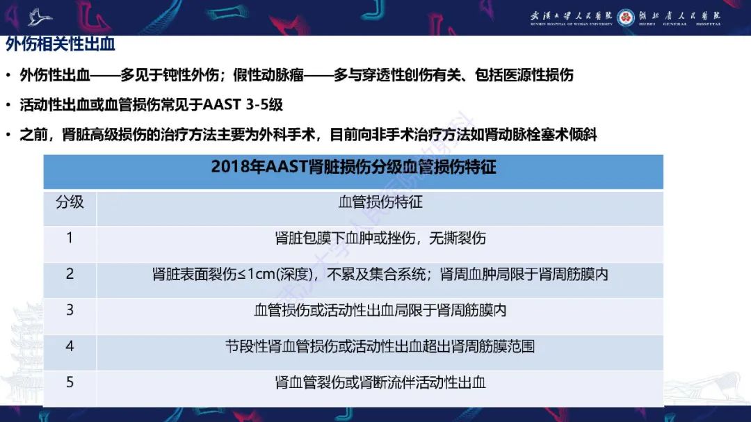 【PPT】肾动脉：解剖、病理及血管内治疗-11