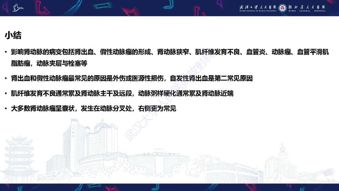 【PPT】肾动脉：解剖、病理及血管内治疗-31