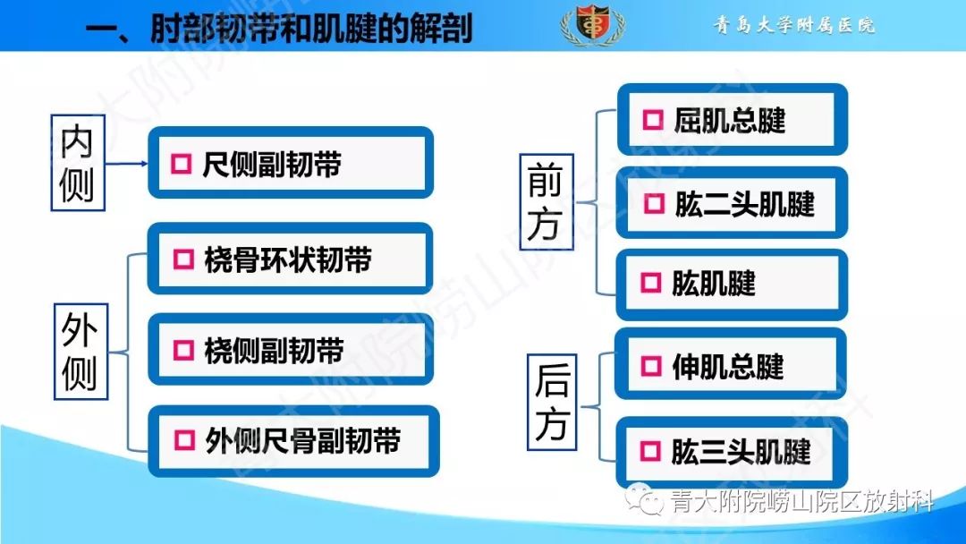 【PPT】肘部韧带和肌腱损伤的MRI诊断-4