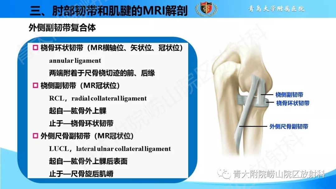 【PPT】肘部韧带和肌腱损伤的MRI诊断-15