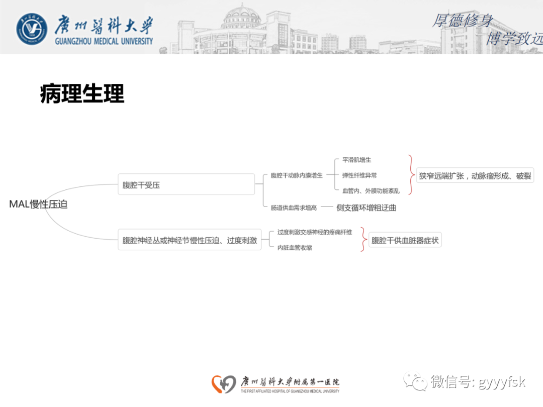 【病例】正中弓状韧带压迫综合征1例CT影像-10