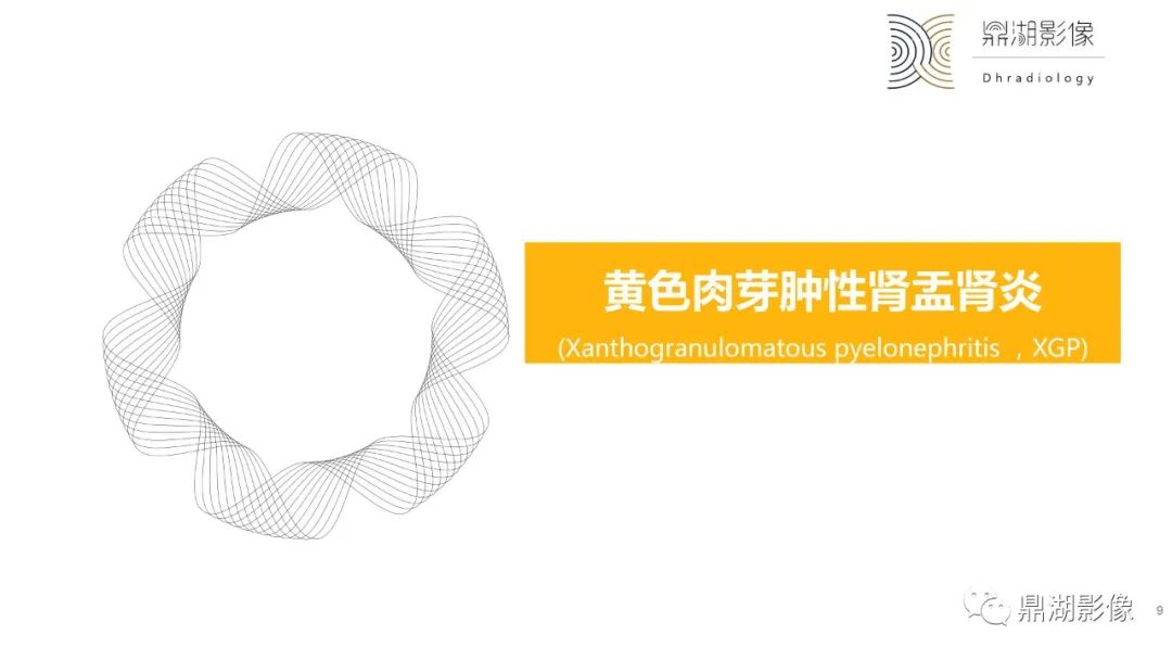 【PPT】黄色肉芽肿性肾盂肾炎-9