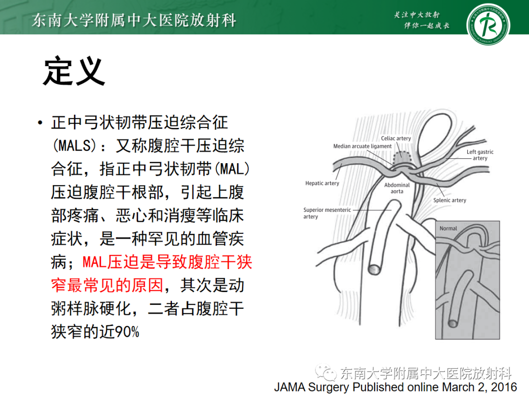 【PPT】肌纤维发育不良-20