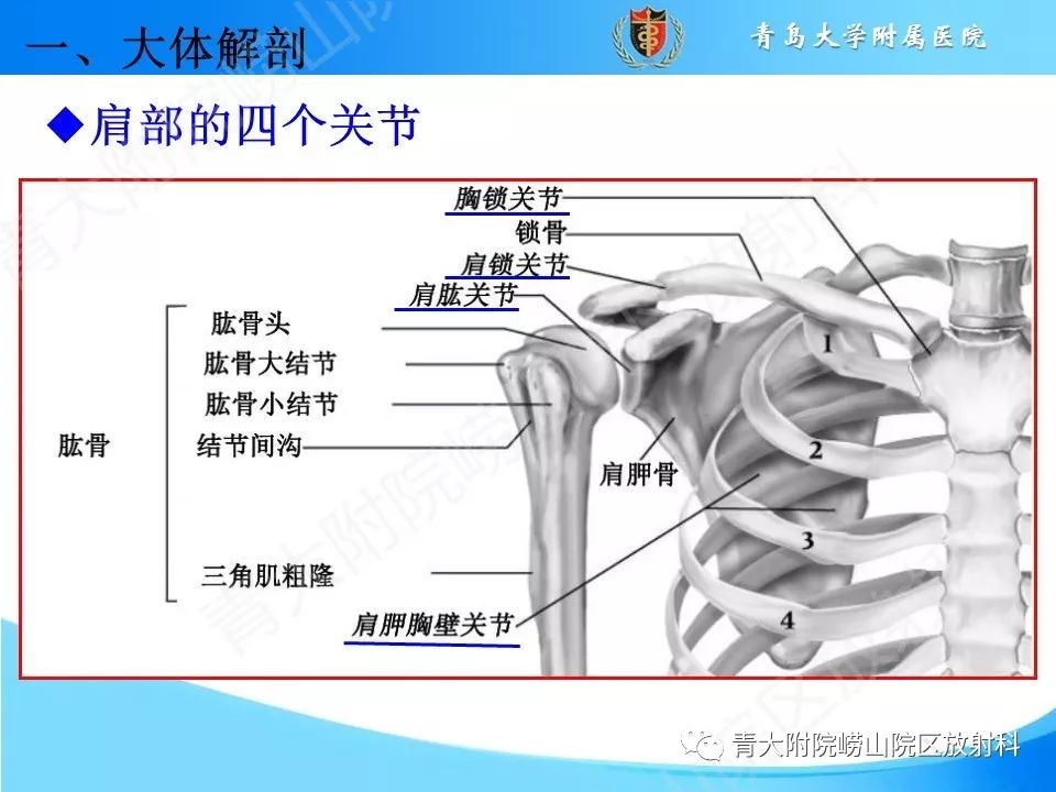 【PPT】肩关节运动损伤的MRI诊断