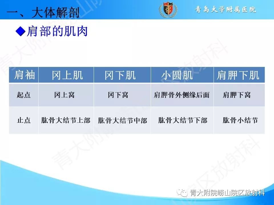 【PPT】肩关节运动损伤的MRI诊断