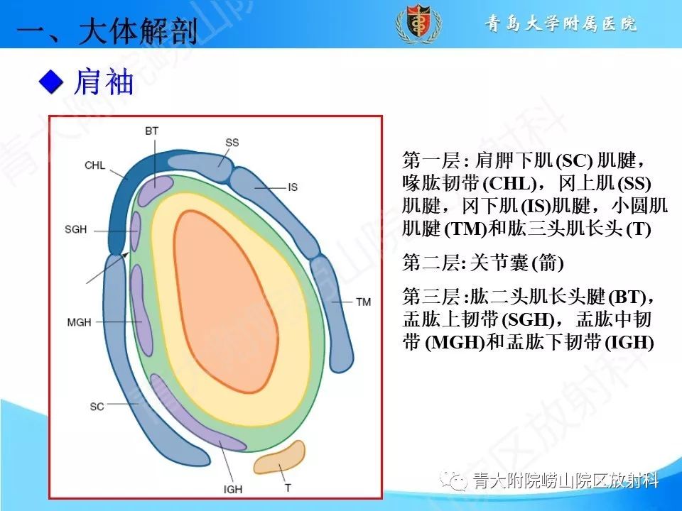 【PPT】肩关节运动损伤的MRI诊断