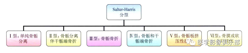 儿童骨骺损伤/骨折分型-1