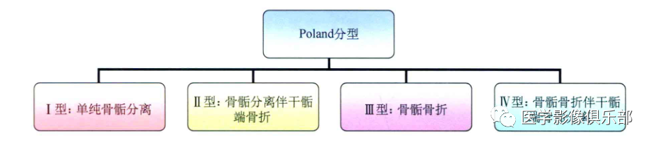 儿童骨骺损伤/骨折分型-8