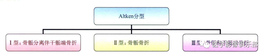 儿童骨骺损伤/骨折分型-10