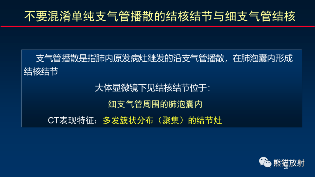 【PPT】HRCT对肺结核细节的观察进展-20