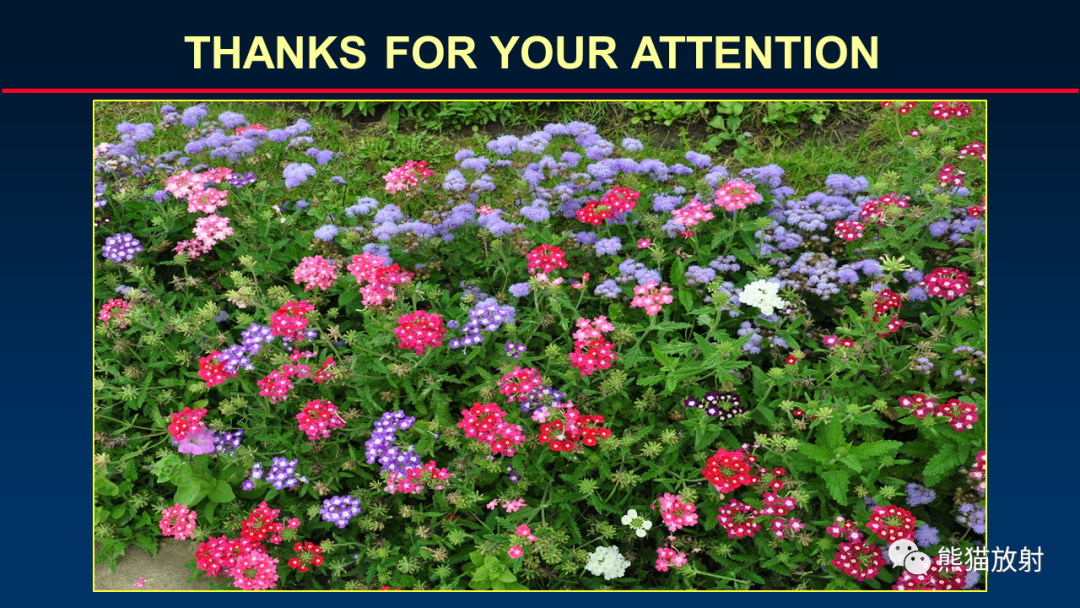 【PPT】HRCT对肺结核细节的观察进展-49