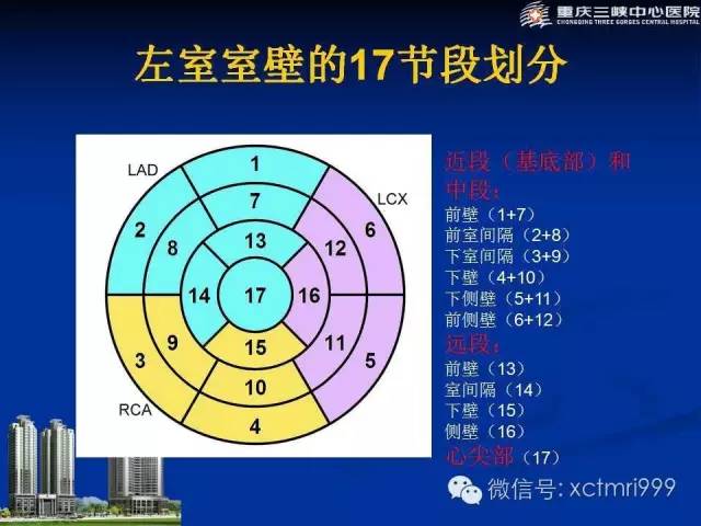【PPT】心脏MRI简介及实例分析