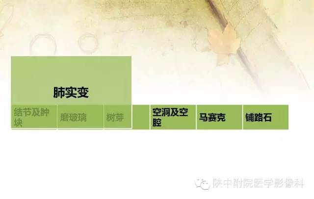 【PPT】胸部常见疾病的CT基本征象