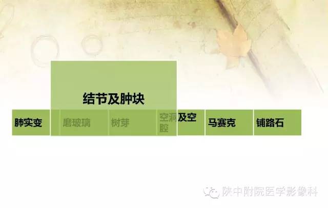 【PPT】胸部常见疾病的CT基本征象